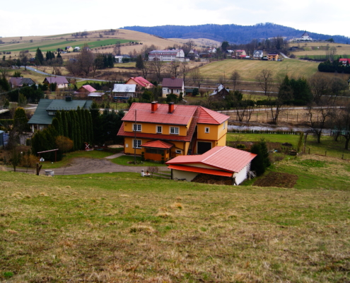 SONY DSC