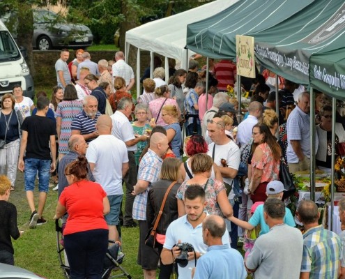 DSC_0446