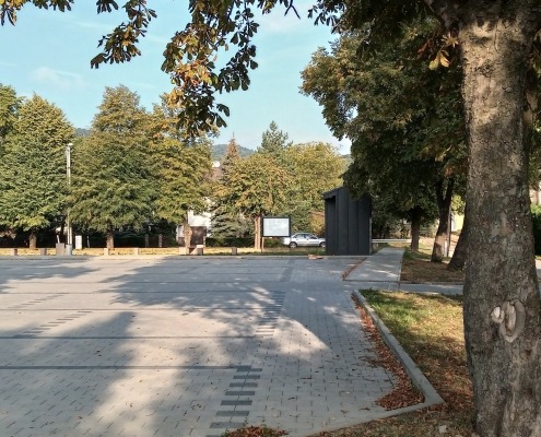 IMG_20220831_074918745