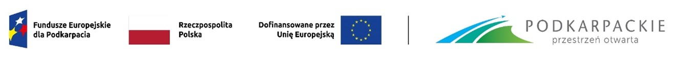 Obraz2