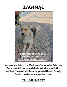 Krakers plakat do powieszenia